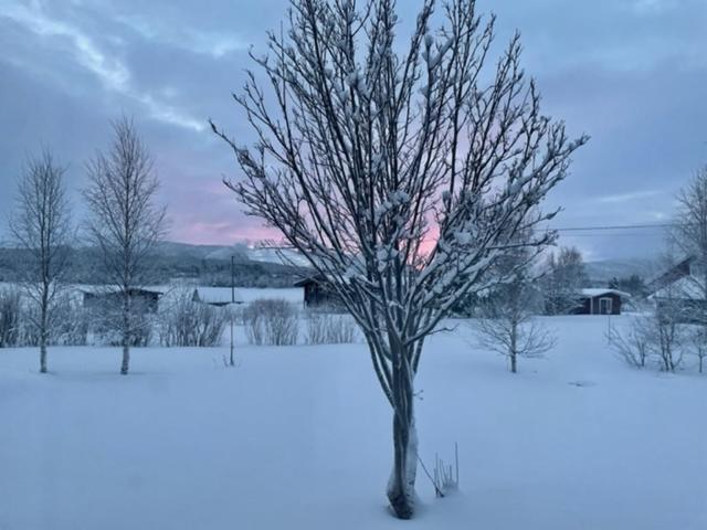 Apartmán Levi Kullero Exteriér fotografie
